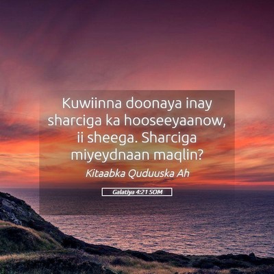 Picture 05 - Galatiya 4:21 SOM - Kuwiinna doonaya inay sharciga ka hooseeyaanow, - Bible Verse Picture