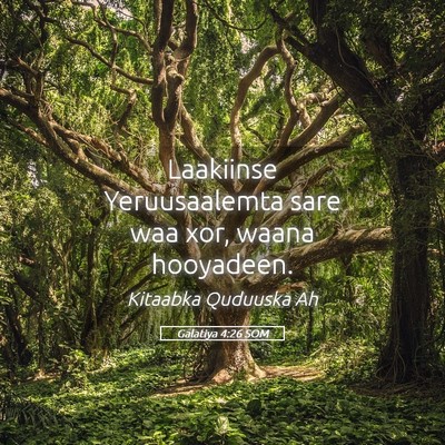 Picture 05 - Galatiya 4:26 SOM - Laakiinse Yeruusaalemta sare waa xor, waana - Bible Verse Picture