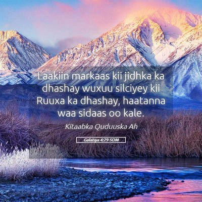 Picture 05 - Galatiya 4:29 SOM - Laakiin markaas kii jidhka ka dhashay wuxuu - Bible Verse Picture