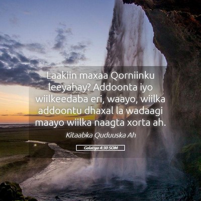 Picture 05 - Galatiya 4:30 SOM - Laakiin maxaa Qorniinku leeyahay? Addoonta iyo - Bible Verse Picture