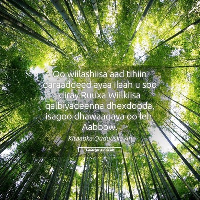 Picture 05 - Galatiya 4:6 SOM - Oo wiilashiisa aad tihiin daraaddeed ayaa Ilaah u - Bible Verse Picture