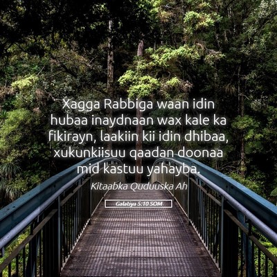 Picture 05 - Galatiya 5:10 SOM - Xagga Rabbiga waan idin hubaa inaydnaan wax kale - Bible Verse Picture