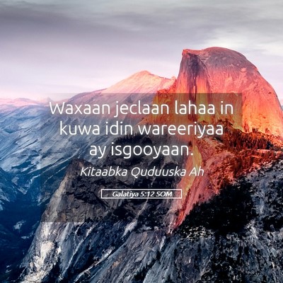 Picture 05 - Galatiya 5:12 SOM - Waxaan jeclaan lahaa in kuwa idin wareeriyaa ay - Bible Verse Picture