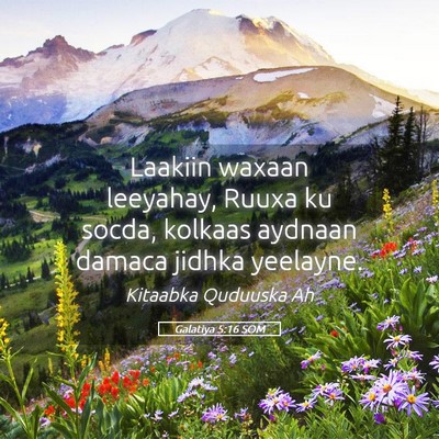 Picture 05 - Galatiya 5:16 SOM - Laakiin waxaan leeyahay, Ruuxa ku socda, kolkaas - Bible Verse Picture