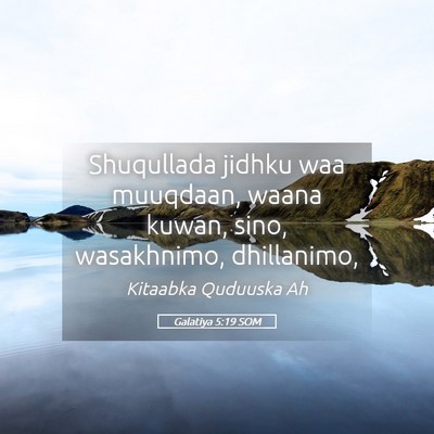 Picture 05 - Galatiya 5:19 SOM - Shuqullada jidhku waa muuqdaan, waana kuwan, - Bible Verse Picture