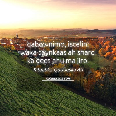 Picture 05 - Galatiya 5:23 SOM - qabownimo, iscelin; waxa caynkaas ah sharci ka - Bible Verse Picture