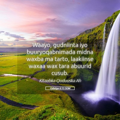 Picture 05 - Galatiya 6:15 SOM - Waayo, gudniinta iyo buuryoqabnimada midna waxba - Bible Verse Picture