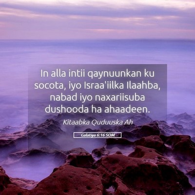 Picture 05 - Galatiya 6:16 SOM - In alla intii qaynuunkan ku socota, iyo - Bible Verse Picture