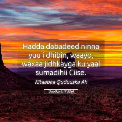 Picture 05 - Galatiya 6:17 SOM - Hadda dabadeed ninna yuu i dhibin, waayo, waxaa - Bible Verse Picture