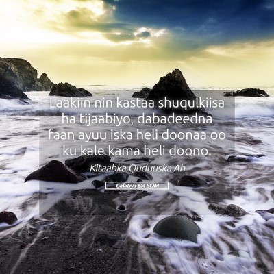 Picture 05 - Galatiya 6:4 SOM - Laakiin nin kastaa shuqulkiisa ha tijaabiyo, - Bible Verse Picture