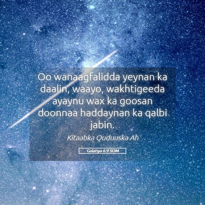 Picture 05 - Galatiya 6:9 SOM - Oo wanaagfalidda yeynan ka daalin, waayo, - Bible Verse Picture