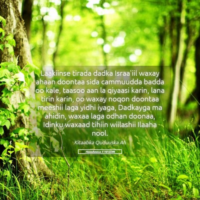 Picture 05 - Hoosheeca 1:10 SOM - Laakiinse tirada dadka Israa'iil waxay ahaan - Bible Verse Picture