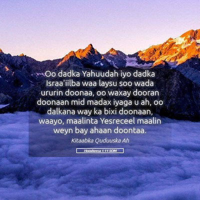 Picture 05 - Hoosheeca 1:11 SOM - Oo dadka Yahuudah iyo dadka Israa'iilba waa laysu - Bible Verse Picture