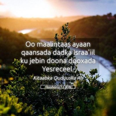 Picture 05 - Hoosheeca 1:5 SOM - Oo maalintaas ayaan qaansada dadka Israa'iil ku - Bible Verse Picture