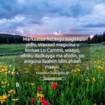 Picture 05 - Hoosheeca 1:9 SOM - Markaasaa Rabbigu isagii ku yidhi, Waxaad - Bible Verse Picture