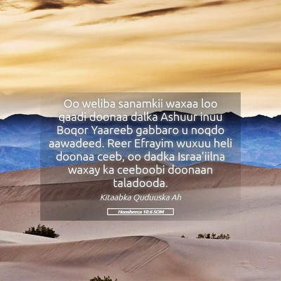 Picture 05 - Hoosheeca 10:6 SOM - Oo weliba sanamkii waxaa loo qaadi doonaa dalka - Bible Verse Picture
