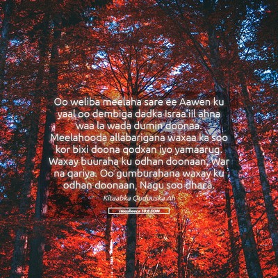 Picture 05 - Hoosheeca 10:8 SOM - Oo weliba meelaha sare ee Aawen ku yaal oo - Bible Verse Picture