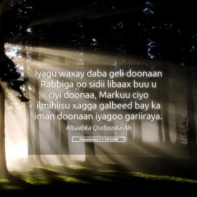 Picture 05 - Hoosheeca 11:10 SOM - Iyagu waxay daba geli doonaan Rabbiga oo sidii - Bible Verse Picture