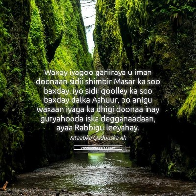 Picture 05 - Hoosheeca 11:11 SOM - Waxay iyagoo gariiraya u iman doonaan sidii - Bible Verse Picture