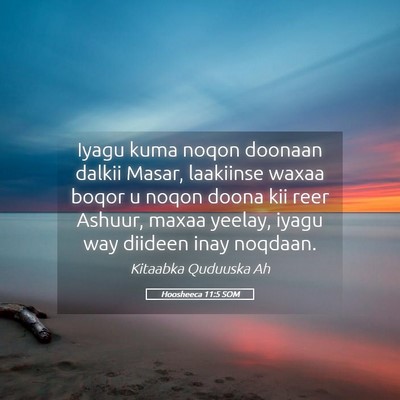 Picture 05 - Hoosheeca 11:5 SOM - Iyagu kuma noqon doonaan dalkii Masar, laakiinse - Bible Verse Picture