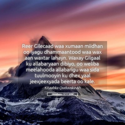 Picture 05 - Hoosheeca 12:11 SOM - Reer Gilecaad waa xumaan miidhan oo iyagu - Bible Verse Picture