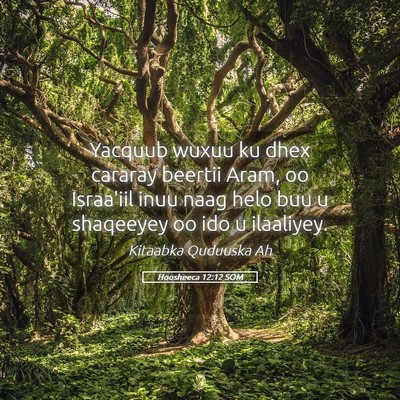 Picture 05 - Hoosheeca 12:12 SOM - Yacquub wuxuu ku dhex cararay beertii Aram, oo - Bible Verse Picture