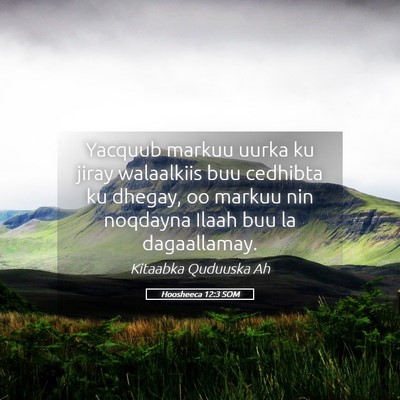 Picture 05 - Hoosheeca 12:3 SOM - Yacquub markuu uurka ku jiray walaalkiis buu - Bible Verse Picture