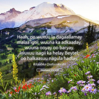 Picture 05 - Hoosheeca 12:4 SOM - Haah, oo wuxuu la dagaallamay malaa'igtii, wuuna - Bible Verse Picture