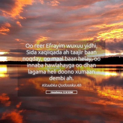 Picture 05 - Hoosheeca 12:8 SOM - Oo reer Efrayim wuxuu yidhi, Sida xaqiiqada ah - Bible Verse Picture