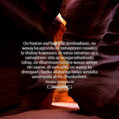 Picture 05 - Hoosheeca 13:2 SOM - Oo haatan aad bay u sii dembaabaan, oo waxay - Bible Verse Picture