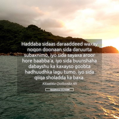 Picture 05 - Hoosheeca 13:3 SOM - Haddaba sidaas daraaddeed waxay noqon doonaan - Bible Verse Picture