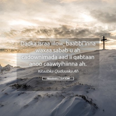Picture 05 - Hoosheeca 13:9 SOM - Dadka Israa'iilow, baabbi'inna waxaa sabab u ah - Bible Verse Picture