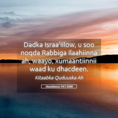 Picture 05 - Hoosheeca 14:1 SOM - Dadka Israa'iilow, u soo noqda Rabbiga Ilaahiinna - Bible Verse Picture