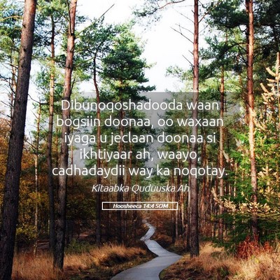 Picture 05 - Hoosheeca 14:4 SOM - Dibunoqoshadooda waan bogsiin doonaa, oo waxaan - Bible Verse Picture