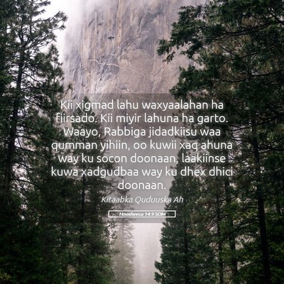 Picture 05 - Hoosheeca 14:9 SOM - Kii xigmad lahu waxyaalahan ha fiirsado. Kii - Bible Verse Picture