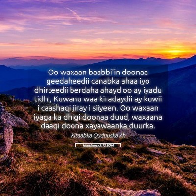 Picture 05 - Hoosheeca 2:12 SOM - Oo waxaan baabbi'in doonaa geedaheedii canabka - Bible Verse Picture