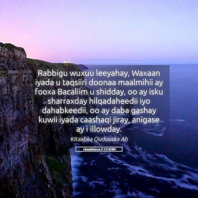 Picture 05 - Hoosheeca 2:13 SOM - Rabbigu wuxuu leeyahay, Waxaan iyada u taqsiiri - Bible Verse Picture