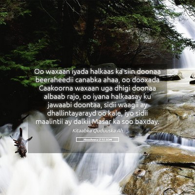 Picture 05 - Hoosheeca 2:15 SOM - Oo waxaan iyada halkaas ka siin doonaa - Bible Verse Picture