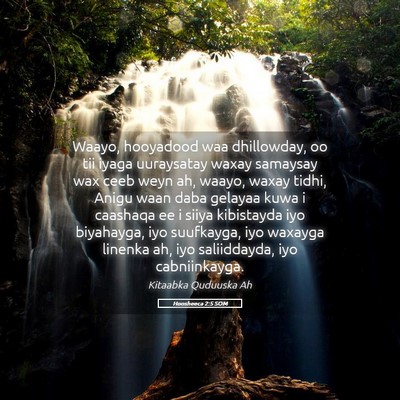 Picture 05 - Hoosheeca 2:5 SOM - Waayo, hooyadood waa dhillowday, oo tii iyaga - Bible Verse Picture