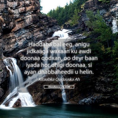 Picture 05 - Hoosheeca 2:6 SOM - Haddaba bal eeg, anigu jidkaaga waxaan ku awdi - Bible Verse Picture
