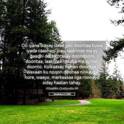 Picture 05 - Hoosheeca 2:7 SOM - Oo iyana waxay daba geli doontaa kuwa iyada - Bible Verse Picture