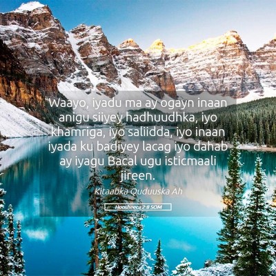 Picture 05 - Hoosheeca 2:8 SOM - Waayo, iyadu ma ay ogayn inaan anigu siiyey - Bible Verse Picture