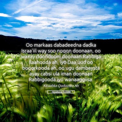 Picture 05 - Hoosheeca 3:5 SOM - Oo markaas dabadeedna dadka Israa'iil way soo - Bible Verse Picture