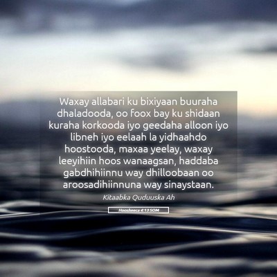 Picture 05 - Hoosheeca 4:13 SOM - Waxay allabari ku bixiyaan buuraha dhaladooda, oo - Bible Verse Picture