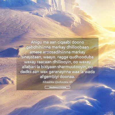Picture 05 - Hoosheeca 4:14 SOM - Anigu ma aan ciqaabi doono gabdhihiinna markay - Bible Verse Picture