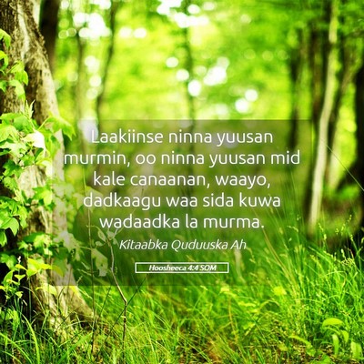 Picture 05 - Hoosheeca 4:4 SOM - Laakiinse ninna yuusan murmin, oo ninna yuusan - Bible Verse Picture