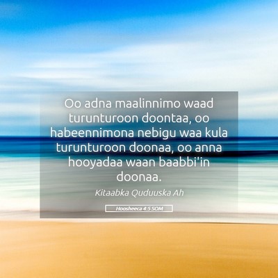Picture 05 - Hoosheeca 4:5 SOM - Oo adna maalinnimo waad turunturoon doontaa, oo - Bible Verse Picture