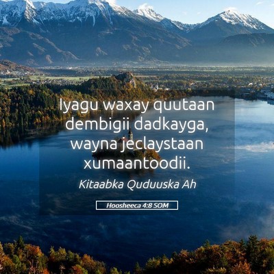 Picture 05 - Hoosheeca 4:8 SOM - Iyagu waxay quutaan dembigii dadkayga, wayna - Bible Verse Picture