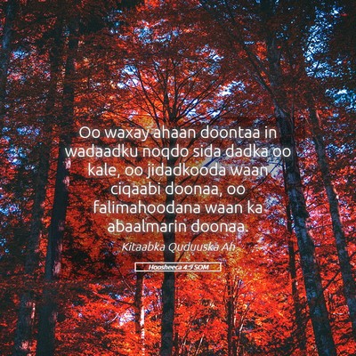Picture 05 - Hoosheeca 4:9 SOM - Oo waxay ahaan doontaa in wadaadku noqdo sida - Bible Verse Picture
