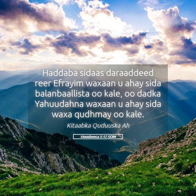 Picture 05 - Hoosheeca 5:12 SOM - Haddaba sidaas daraaddeed reer Efrayim waxaan u - Bible Verse Picture